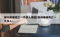 郑州暴雨死亡一万多人原因(郑州暴雨死亡一万多人)